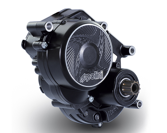 Polini E-P3 - E-Bike - Motore polini per bici elettrica - ebike - motor e-p3 - e-bike motor - made in italy - Polini E-P3 Domaine technique - Polini E-P3 Technical Area - Polini E-P3 Area tecnica - Polini E-P3 Área técnica - INSTRUCCIONES E-P3 MOTOR - E-P3 MOTEUR INSTRUCTIONS - E-P3 MOTOR USER’S MANUAL - E-P3 ISTRUZIONI